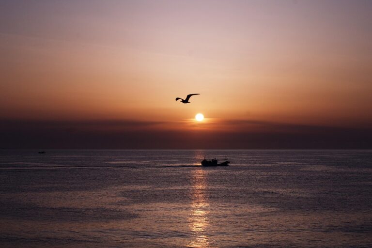 African Sunrise: Descubra o perfume que inspira energia